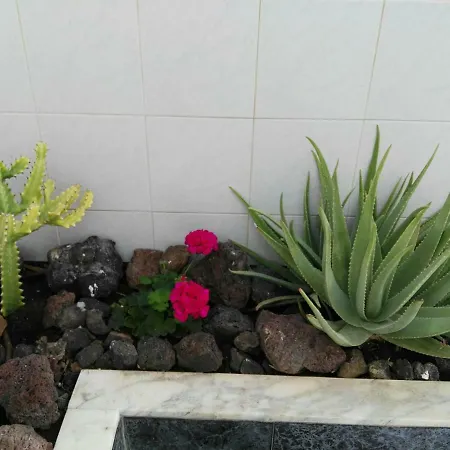 아파트 Tenerife Pearl *
